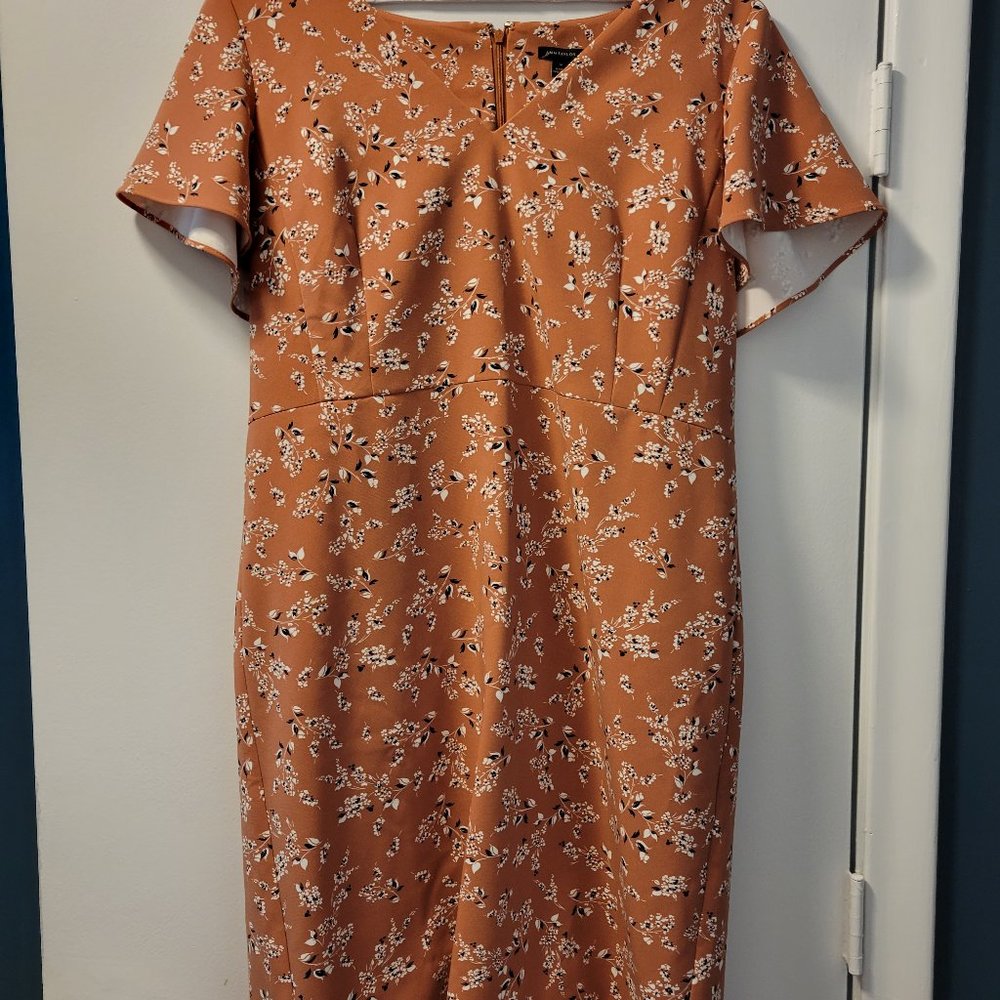 terra cotta, summer dress, size 16, Ann Taylor